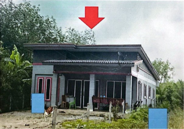 ขายทอดตลาด ที่ดินพร้อมสิ่งปลูกสร้าง ต.ทุ่งนุ้ย อ.ควนกาหลง จ.สตูล