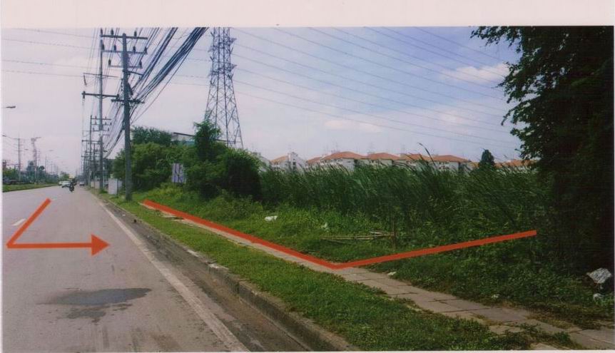 ขายทอดตลาด ที่ดินว่างเปล่า ต.คลองมะเดื่อ อ.กระทุ่มแบน จ.สมุทรสาคร