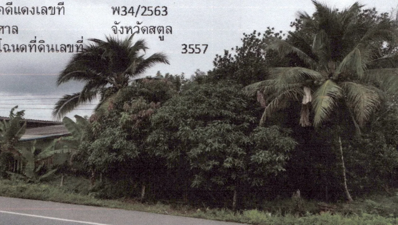 ขายทอดตลาด ที่ดินว่างเปล่า ต.ทุ่งนุ้ย อ.ควนกาหลง จ.สตูล