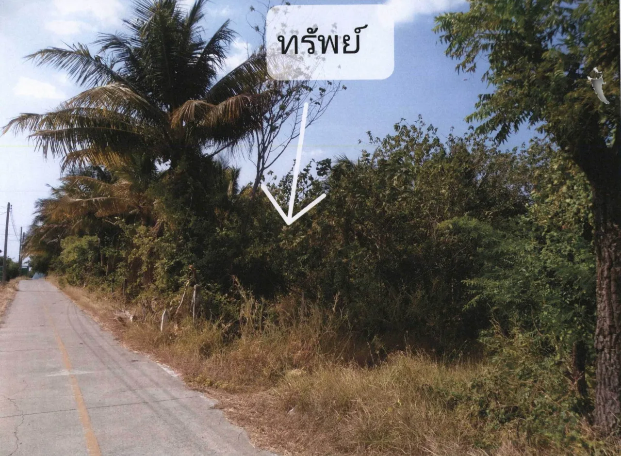 ขายทอดตลาด ที่ดินว่างเปล่า ต.พุกร่าง อ.พระพุทธบาท จ.สระบุรี