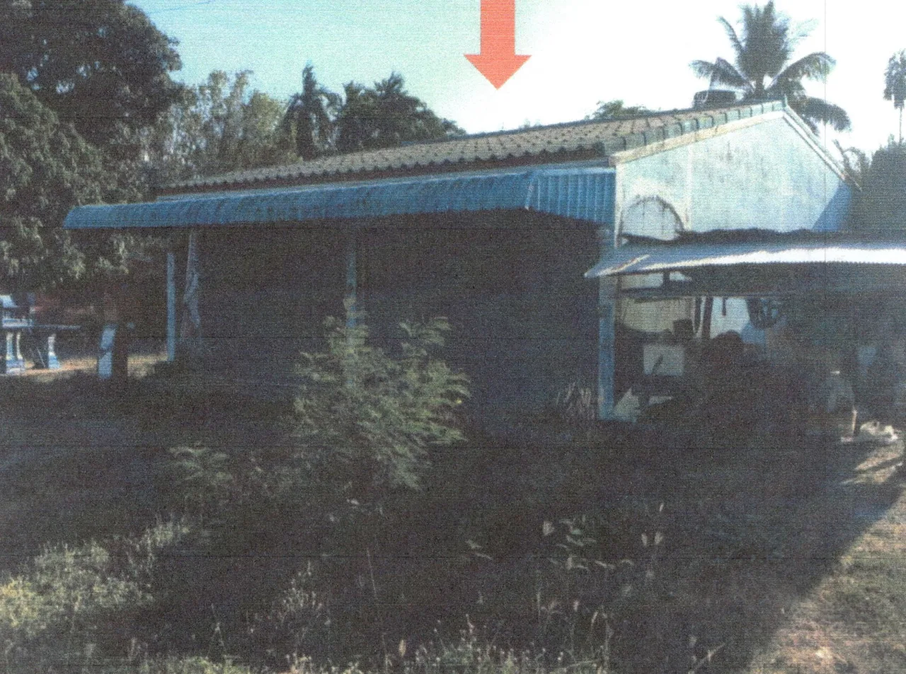 ขายทอดตลาด ที่ดินพร้อมสิ่งปลูกสร้าง ต.นาทอน อ.ทุ่งหว้า จ.สตูล