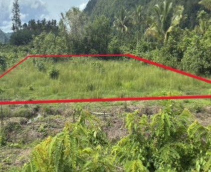 ขายทอดตลาด ที่ดินว่างเปล่า ต.บ้านควน อ.เมืองสตูล จ.สตูล