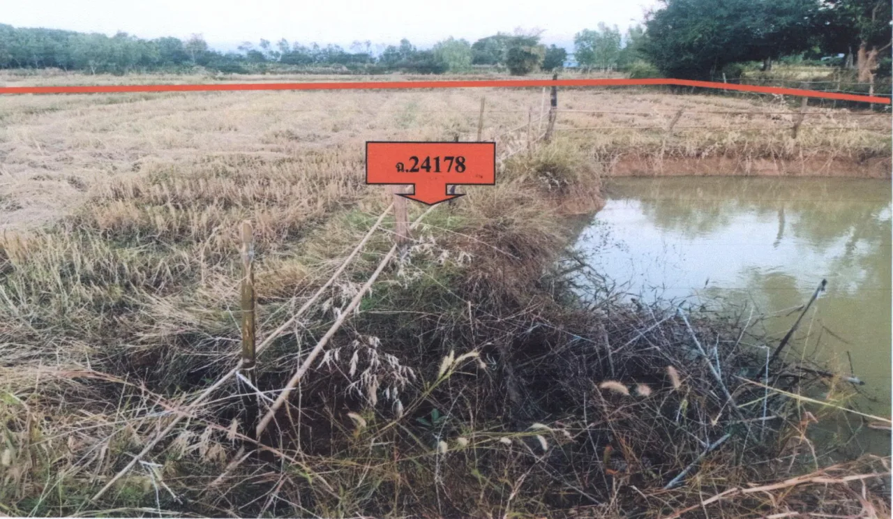 ขายทอดตลาด ที่ดินว่างเปล่า ต.โพนทอง อ.เสนางคนิคม จ.อำนาจเจริญ