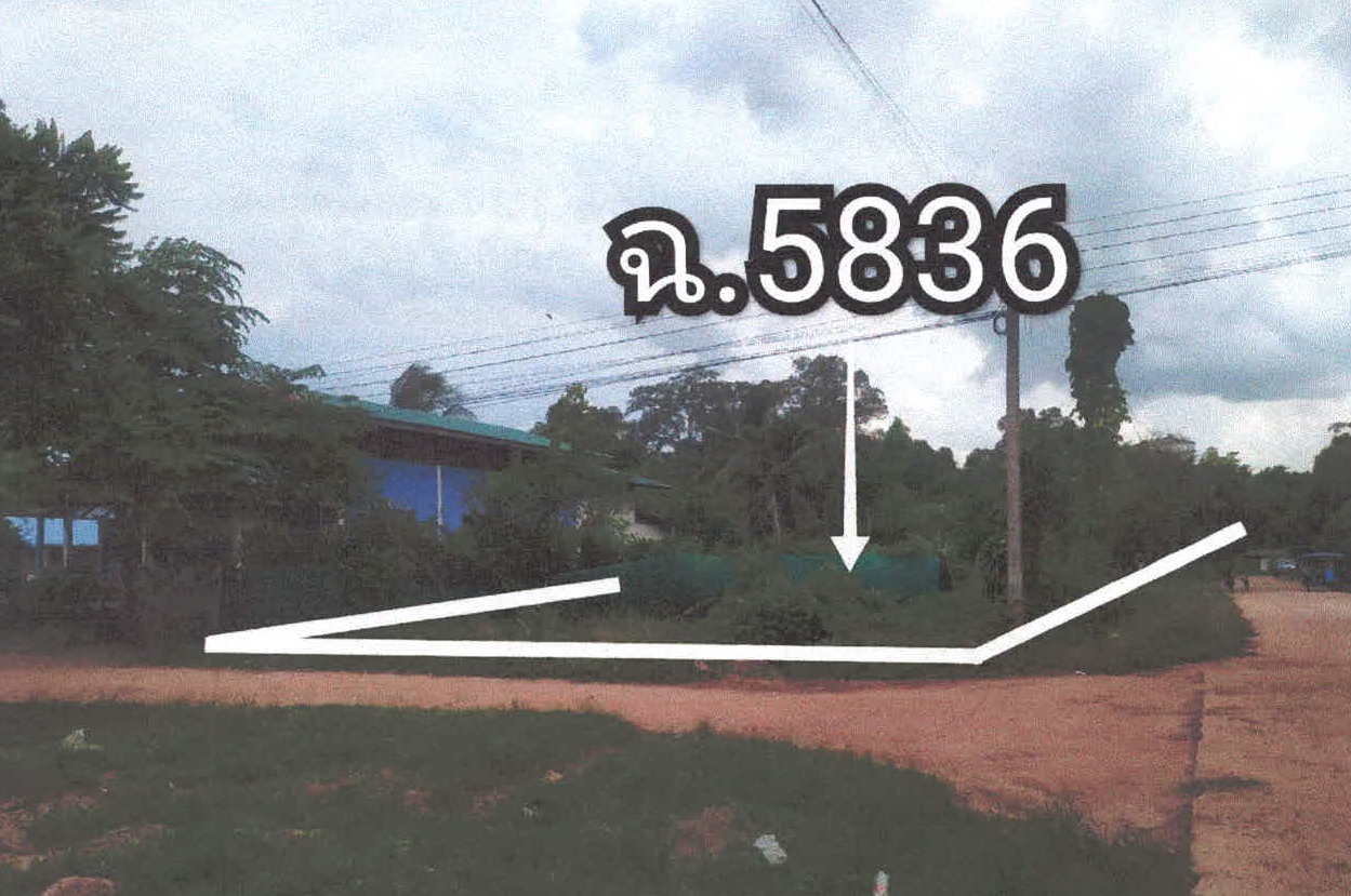 ขายทอดตลาด ที่ดินว่างเปล่า ต.ป่าก่อ อ.ชานุมาน จ.อำนาจเจริญ