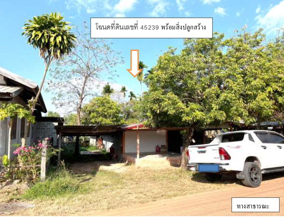 ขายทอดตลาด ที่ดินพร้อมสิ่งปลูกสร้าง ต.นาแต้ อ.เมืองอำนาจเจริญ จ.อำนาจเจริญ