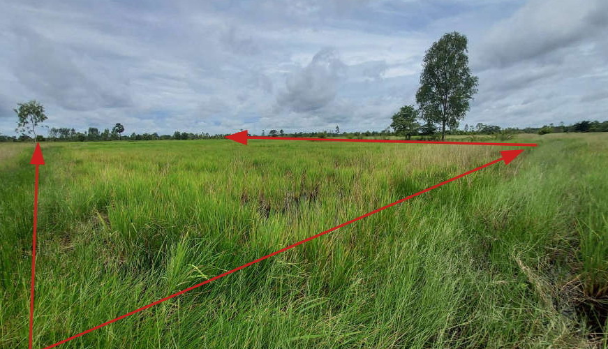 ขายทอดตลาด ที่ดินว่างเปล่า ต.สร้างถ่อน้อย อ.หัวตะพาน จ.อำนาจเจริญ