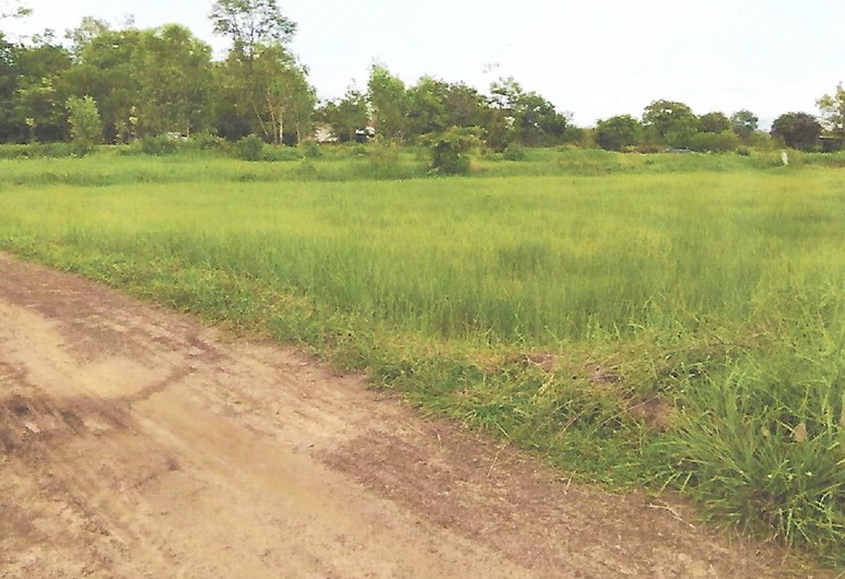 ขายทอดตลาด ที่ดินว่างเปล่า ต.ไร่ขี อ.ลืออำนาจ จ.อำนาจเจริญ