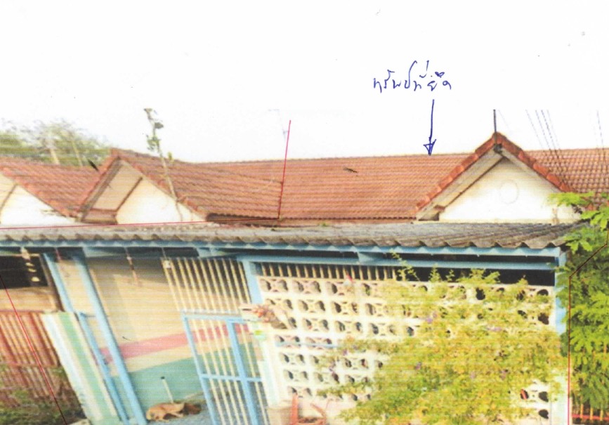 ขายทอดตลาด ที่ดินพร้อมสิ่งปลูกสร้าง ต.หนองไข่น้ำ อ.หนองแค จ.สระบุรี