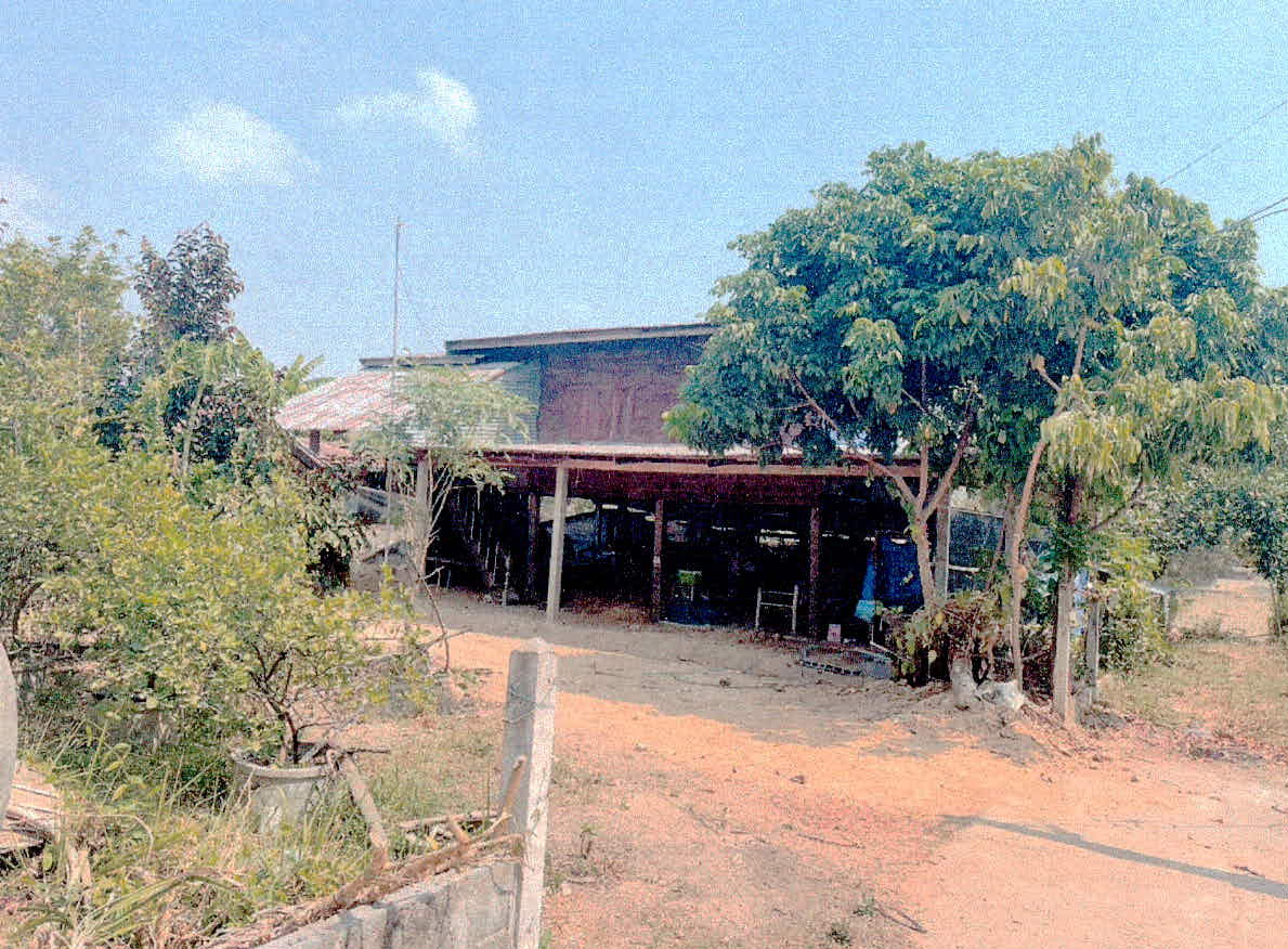 ขายทอดตลาด ที่ดินพร้อมสิ่งปลูกสร้าง ต.ลือ อ.ปทุมราชวงศา จ.อำนาจเจริญ