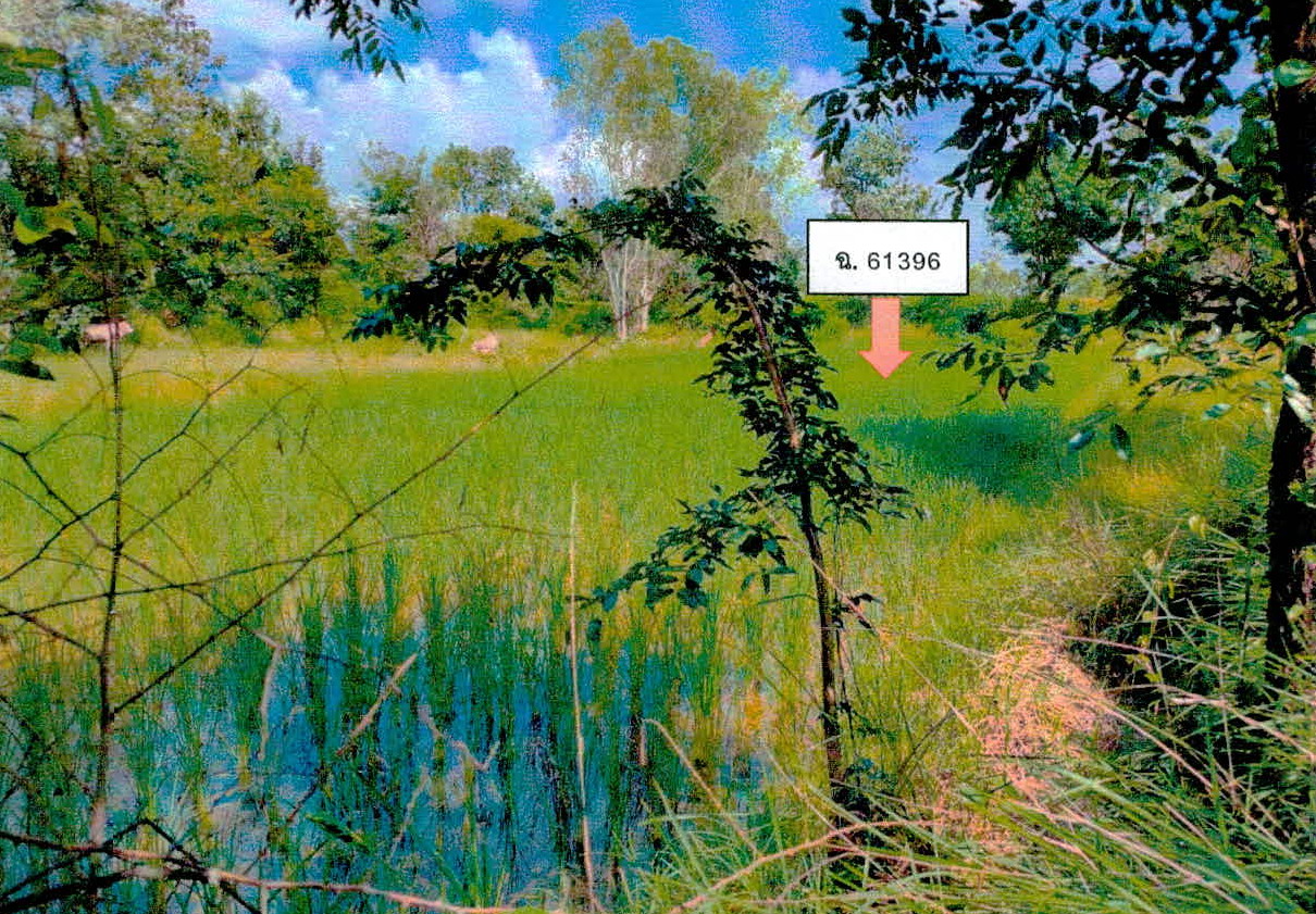 ขายทอดตลาด ที่ดินว่างเปล่า ต.บุ่ง อ.เมืองอำนาจเจริญ จ.อำนาจเจริญ