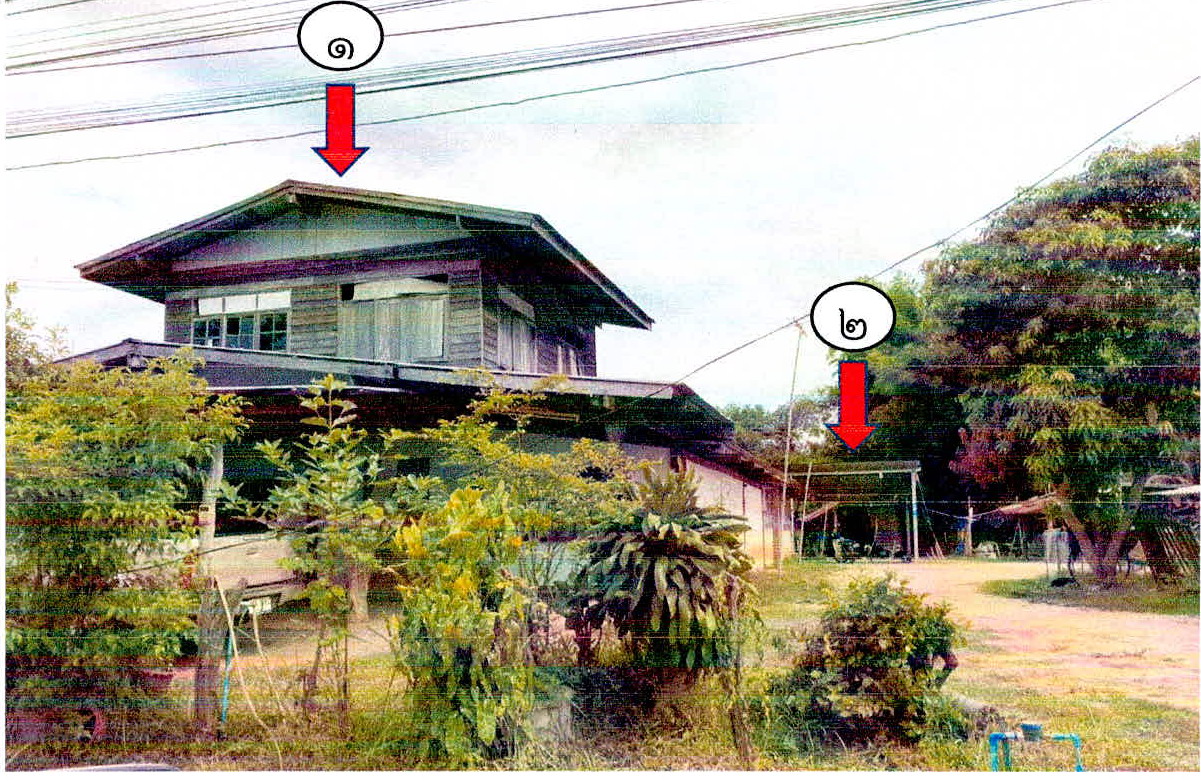 ขายทอดตลาด ที่ดินพร้อมสิ่งปลูกสร้าง ต.พนา อ.พนา จ.อำนาจเจริญ