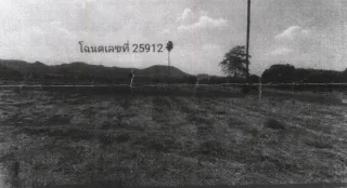 รูปทรัพย์ 2