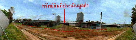 ขายทอดตลาด ที่ดินพร้อมสิ่งปลูกสร้าง ต.ศาลาลำดวน อ.เมืองสระแก้ว จ.สระแก้ว