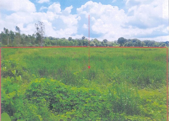 ขายทอดตลาด ที่ดินว่างเปล่า ต.น้ำปลีก อ.เมืองอำนาจเจริญ จ.อำนาจเจริญ