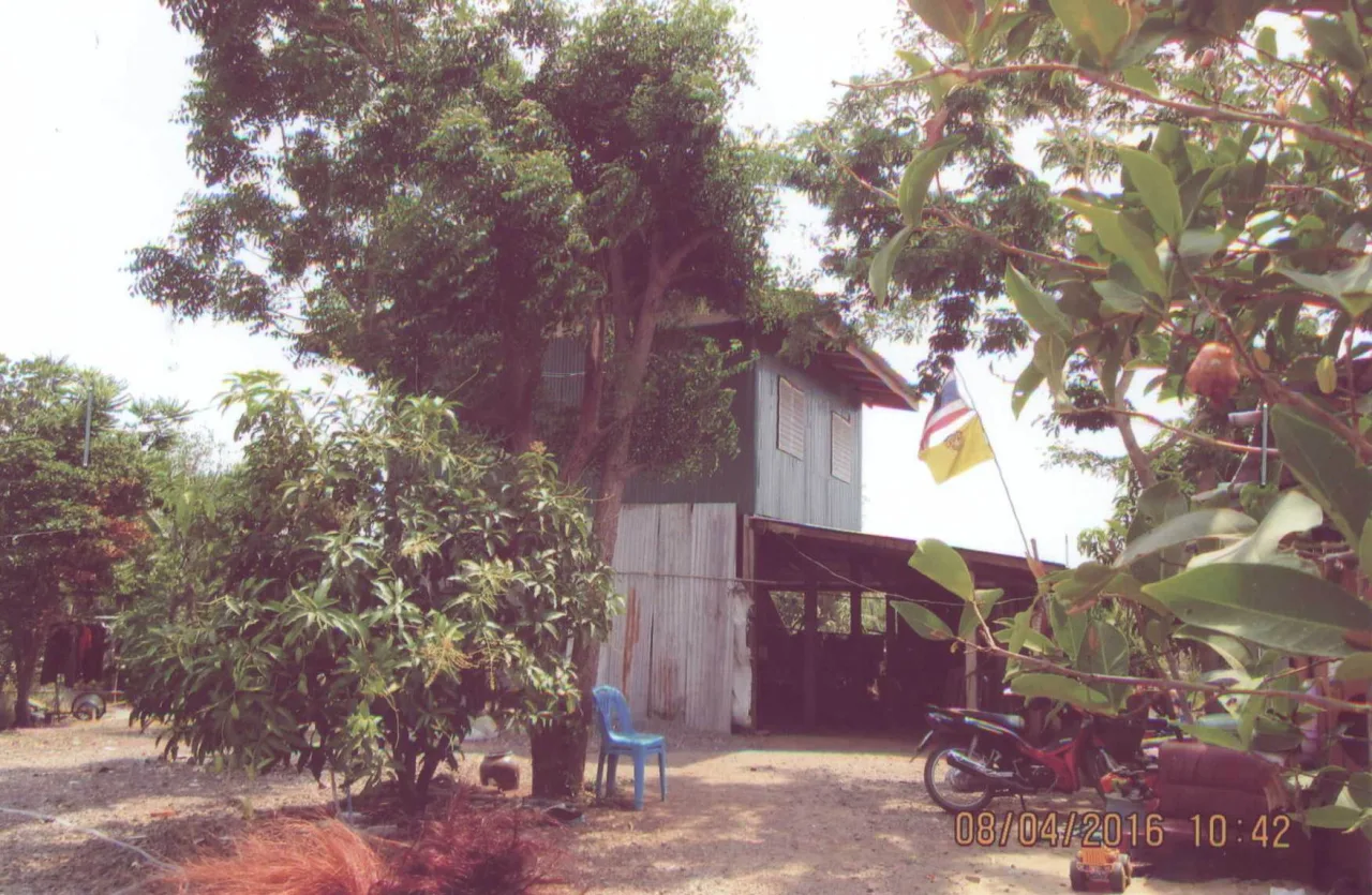 ขายทอดตลาด ที่ดินพร้อมสิ่งปลูกสร้าง ต.ม่วงงาม อ.เสาไห้ จ.สระบุรี