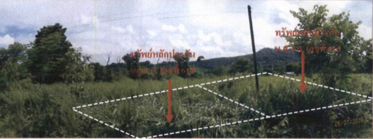 ขายทอดตลาด ที่ดินว่างเปล่า ต.ชะอม อ.แก่งคอย จ.สระบุรี