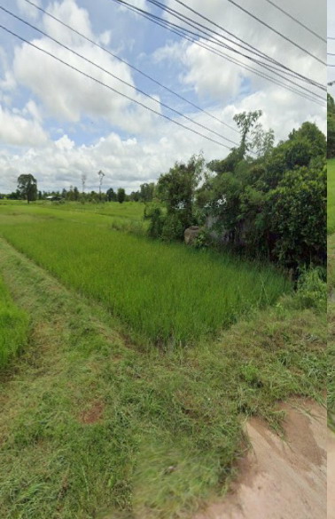 ขายทอดตลาด ที่ดินว่างเปล่า ต.นาหว้า อ.ปทุมราชวงศา จ.อำนาจเจริญ