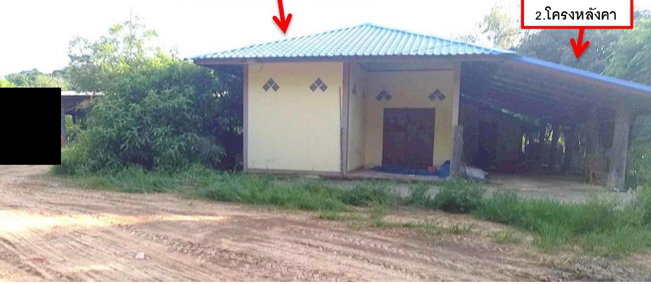 ขายทอดตลาด ที่ดินพร้อมสิ่งปลูกสร้าง ต.คำโพน อ.ปทุมราชวงศา จ.อำนาจเจริญ