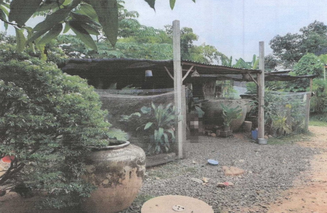 ขายทอดตลาด ที่ดินพร้อมสิ่งปลูกสร้าง ต.ศรีสุขสำราญ อ.อุบลรัตน์ จ.ขอนแก่น