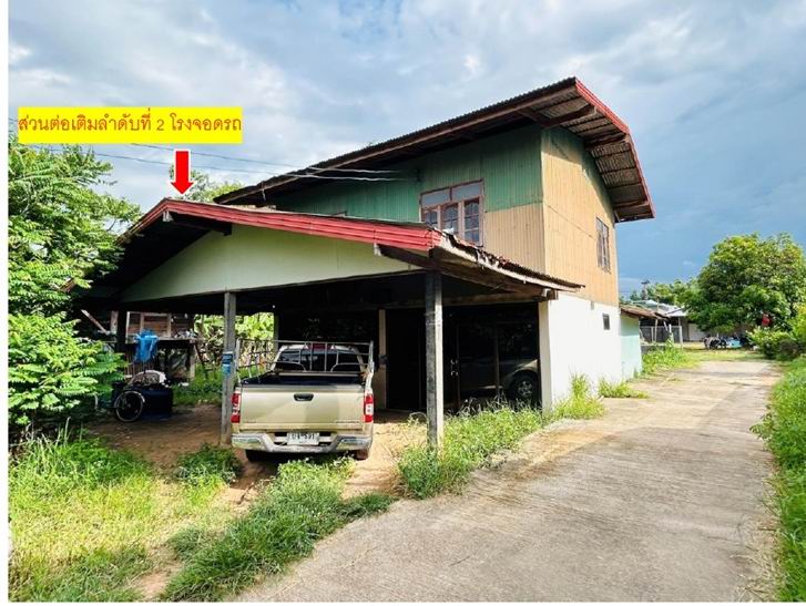 ขายทอดตลาด ที่ดินพร้อมสิ่งปลูกสร้าง ต.เค็งใหญ่ อ.หัวตะพาน จ.อำนาจเจริญ