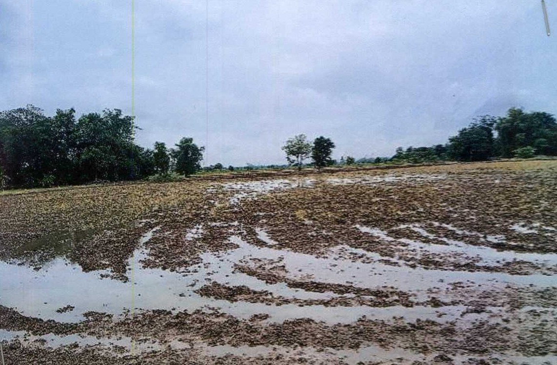 ขายทอดตลาด ที่ดินว่างเปล่า ต.ห้วยขมิ้น อ.หนองแค จ.สระบุรี