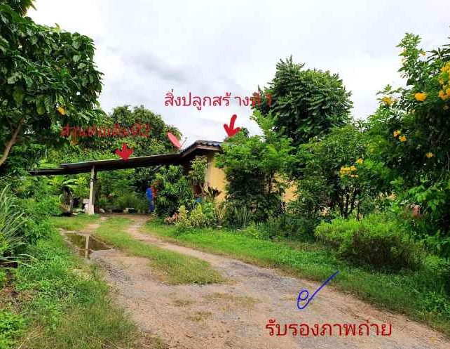 ขายทอดตลาด ที่ดินพร้อมสิ่งปลูกสร้าง ต.หนองจิก อ.หนองแค จ.สระบุรี