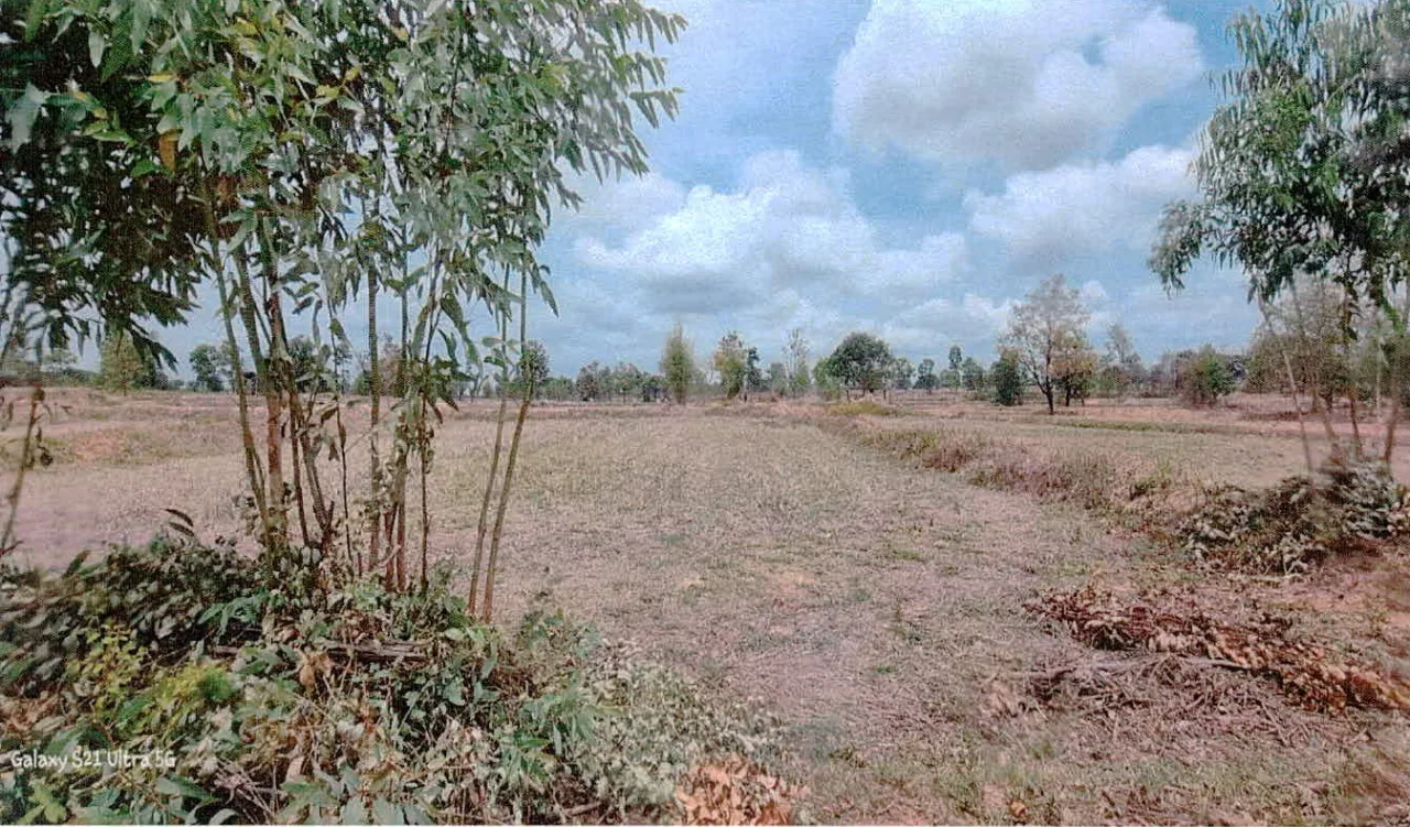 ขายทอดตลาด ที่ดินว่างเปล่า ต.กุดปลาดุก อ.เมืองอำนาจเจริญ จ.อำนาจเจริญ