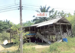รูปทรัพย์ 2
