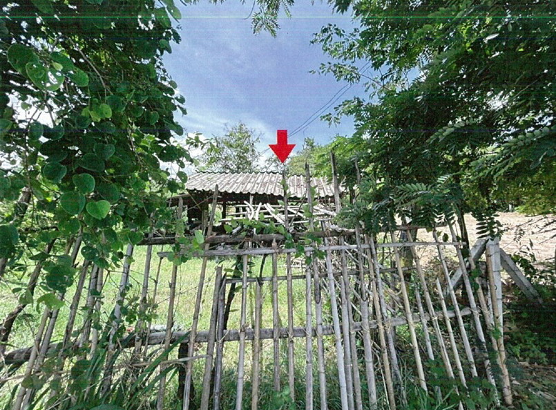 ขายทอดตลาด ที่ดินพร้อมสิ่งปลูกสร้าง ต.เสนางคนิคม อ.เสนางคนิคม จ.อำนาจเจริญ