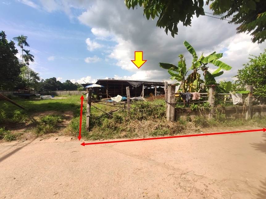 ขายทอดตลาด ที่ดินพร้อมสิ่งปลูกสร้าง ต.หนองโน อ.กระนวน จ.ขอนแก่น
