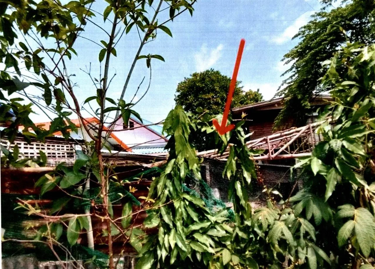 ขายทอดตลาด ที่ดินว่างเปล่า จ.อำนาจเจริญ