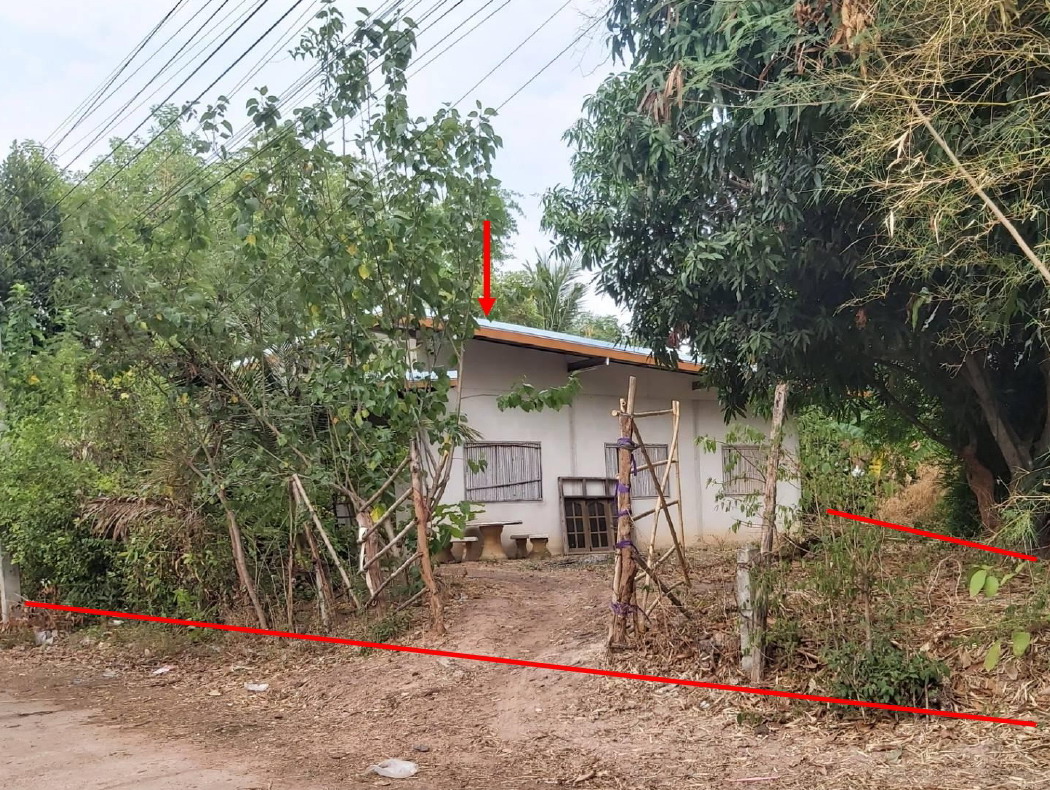 ขายทอดตลาด ที่ดินพร้อมสิ่งปลูกสร้าง ต.แมด อ.ลืออำนาจ จ.อำนาจเจริญ