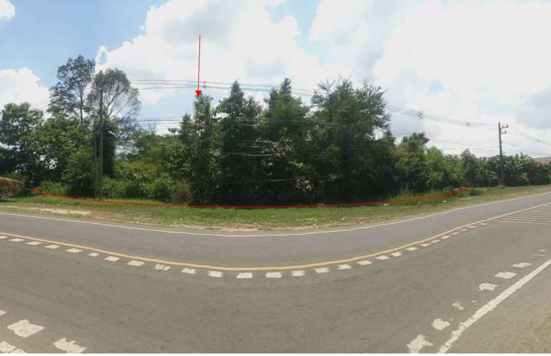 ขายทอดตลาด ที่ดินว่างเปล่า ต.พนา อ.พนา จ.อำนาจเจริญ