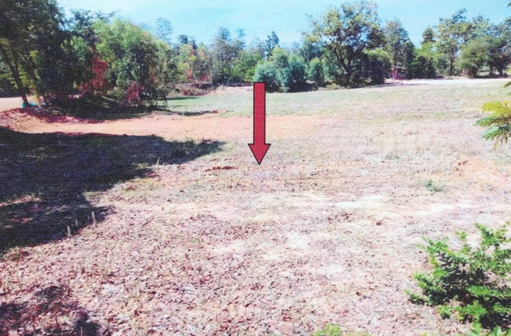 ขายทอดตลาด ที่ดินว่างเปล่า ต.กุดปลาดุก อ.เมืองอำนาจเจริญ จ.อำนาจเจริญ