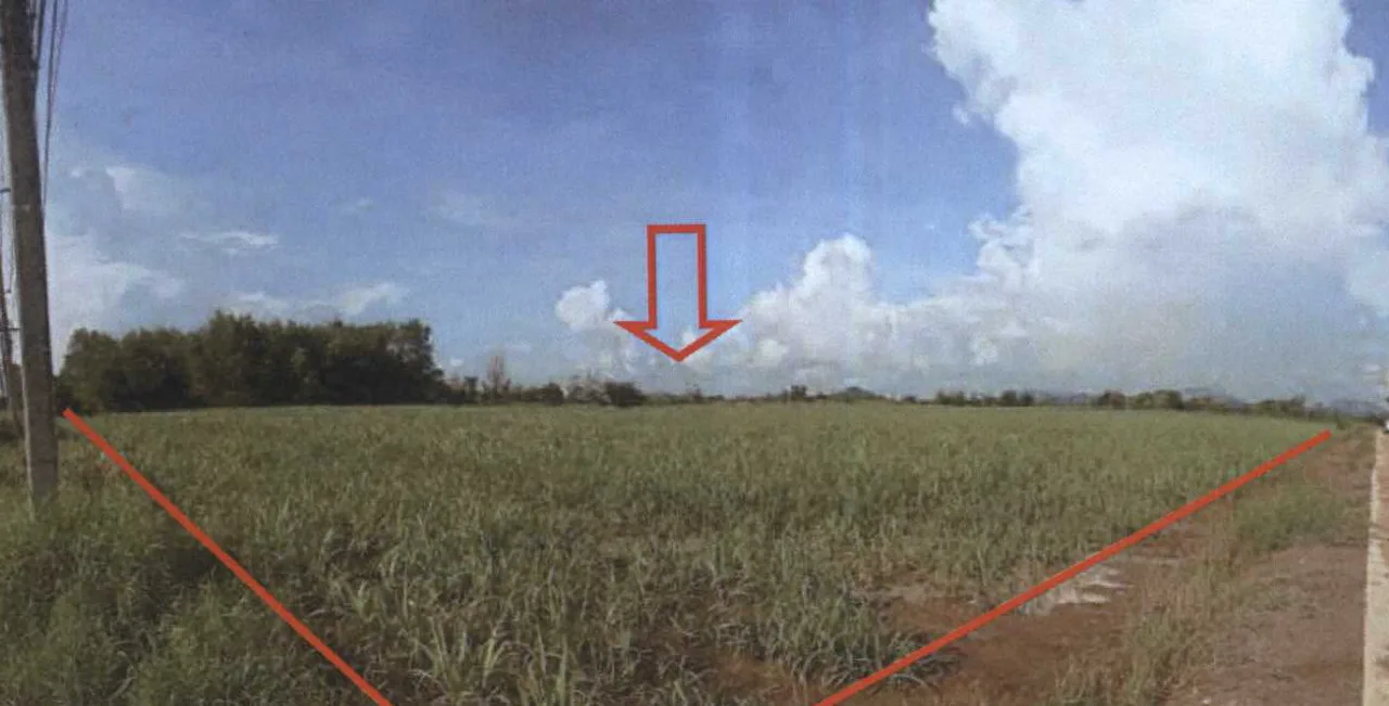 ขายทอดตลาด ที่ดินว่างเปล่า ต.วังใหม่ อ.วังสมบูรณ์ จ.สระแก้ว