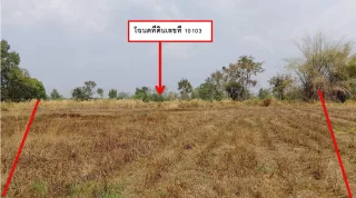 รูปทรัพย์ 3