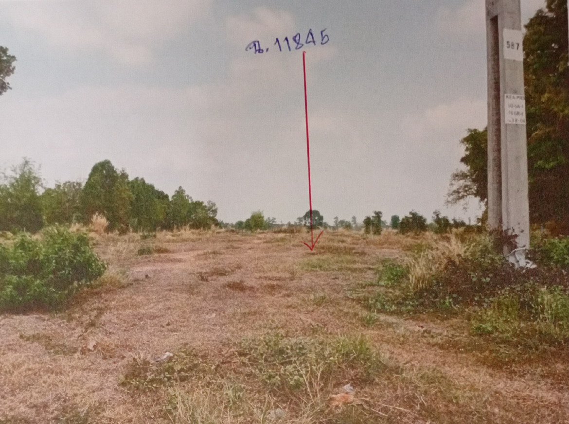 ขายทอดตลาด ที่ดินว่างเปล่า ต.คำโพน อ.ปทุมราชวงศา จ.อำนาจเจริญ
