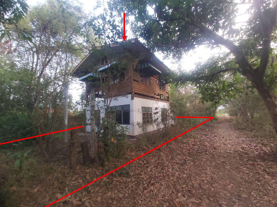 ขายทอดตลาด ที่ดินพร้อมสิ่งปลูกสร้าง ต.บุ่ง อ.เมืองอำนาจเจริญ จ.อำนาจเจริญ