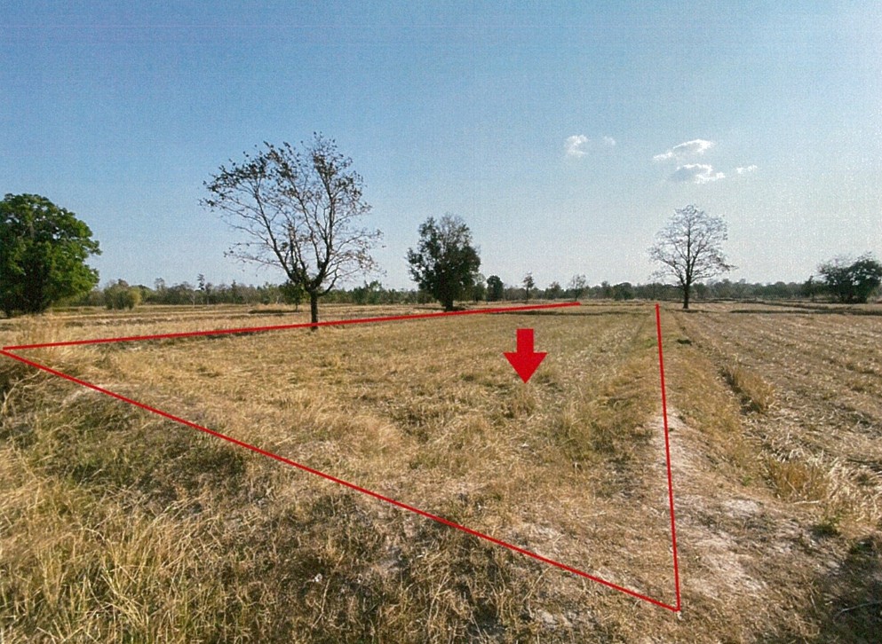 ขายทอดตลาด ที่ดินว่างเปล่า ต.นาแต้ อ.เมืองอำนาจเจริญ จ.อำนาจเจริญ