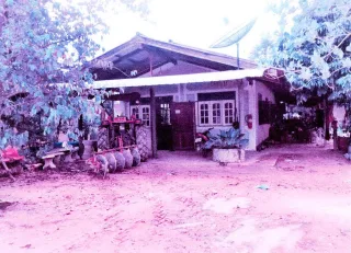 รูปทรัพย์ 2