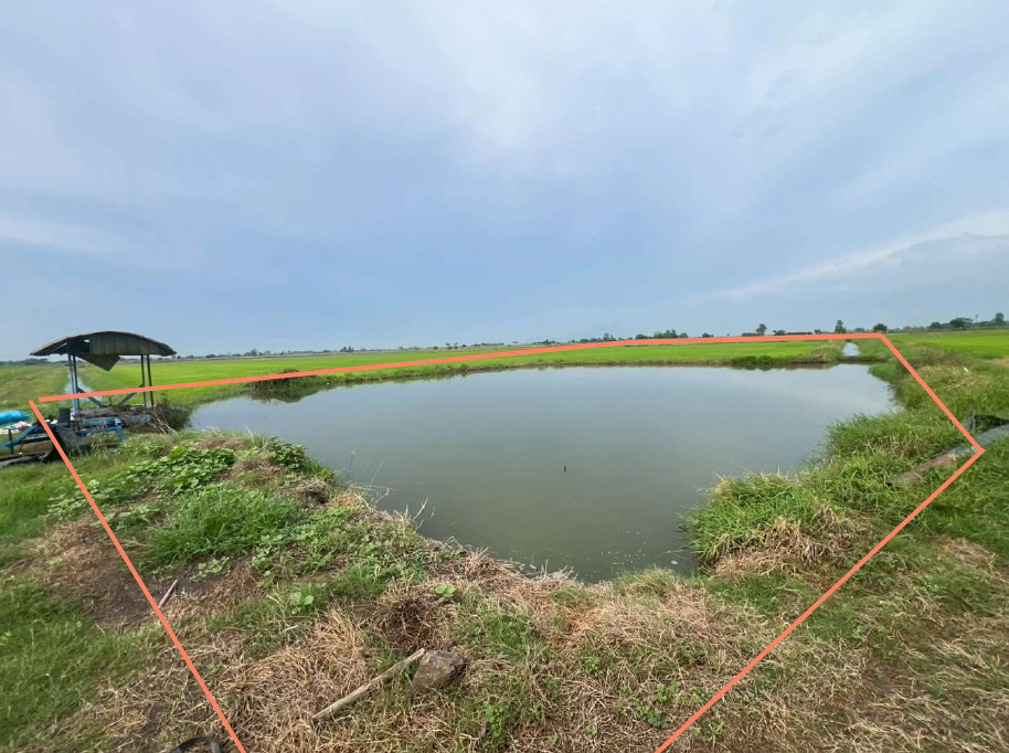 ขายทอดตลาด ที่ดินว่างเปล่า จ.สระบุรี