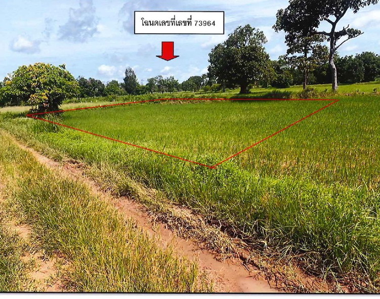 ขายทอดตลาด ที่ดินว่างเปล่า ต.บุ่ง อ.เมืองอำนาจเจริญ จ.อำนาจเจริญ