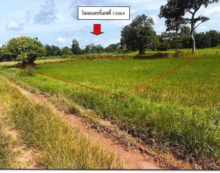 รูปทรัพย์ 1