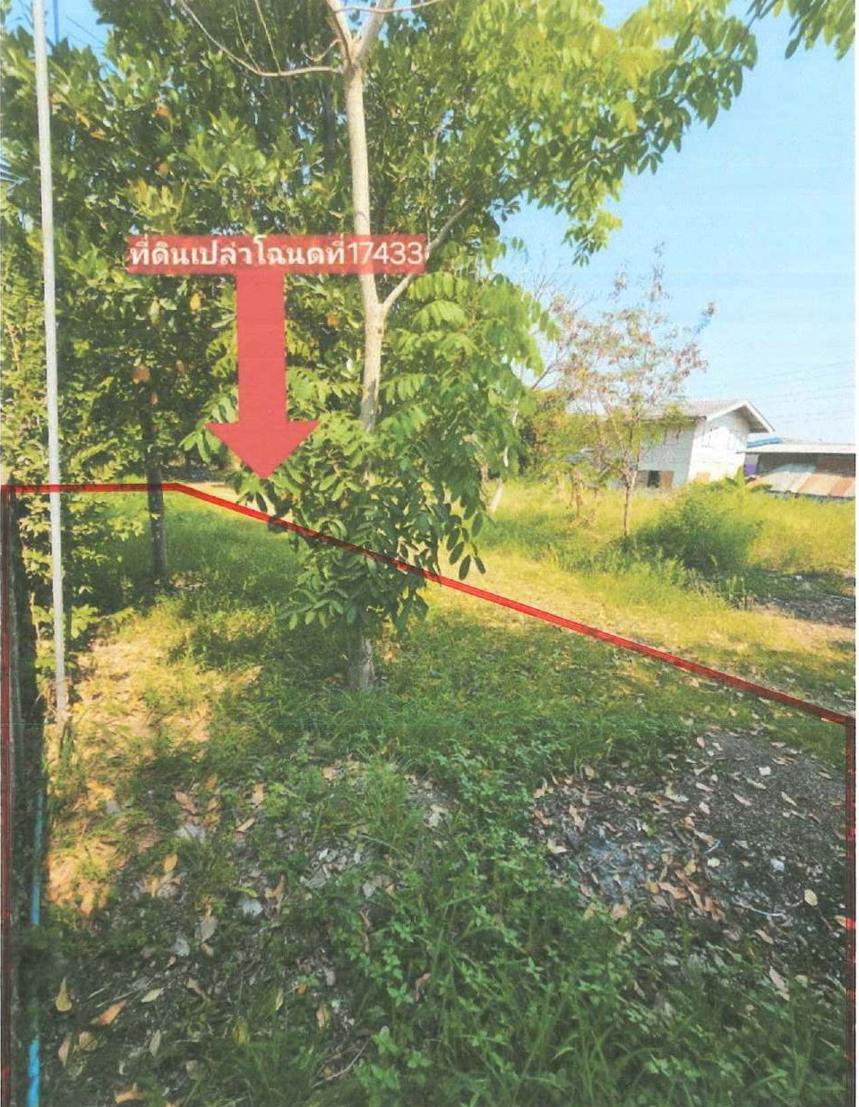 ขายทอดตลาด ที่ดินว่างเปล่า ต.บ้านป่า อ.แก่งคอย จ.สระบุรี