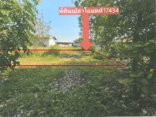 รูปทรัพย์ 2