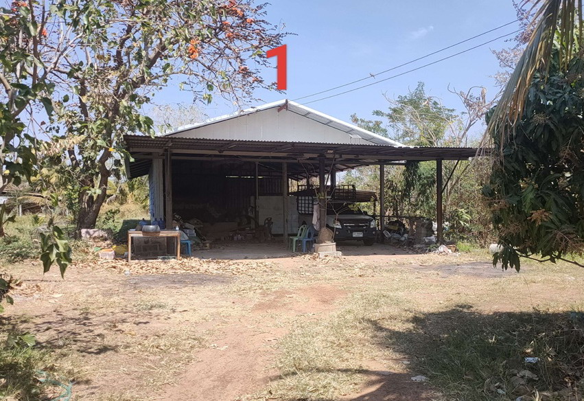 ขายทอดตลาด ที่ดินพร้อมสิ่งปลูกสร้าง ต.ดงมะยาง อ.ลืออำนาจ จ.อำนาจเจริญ