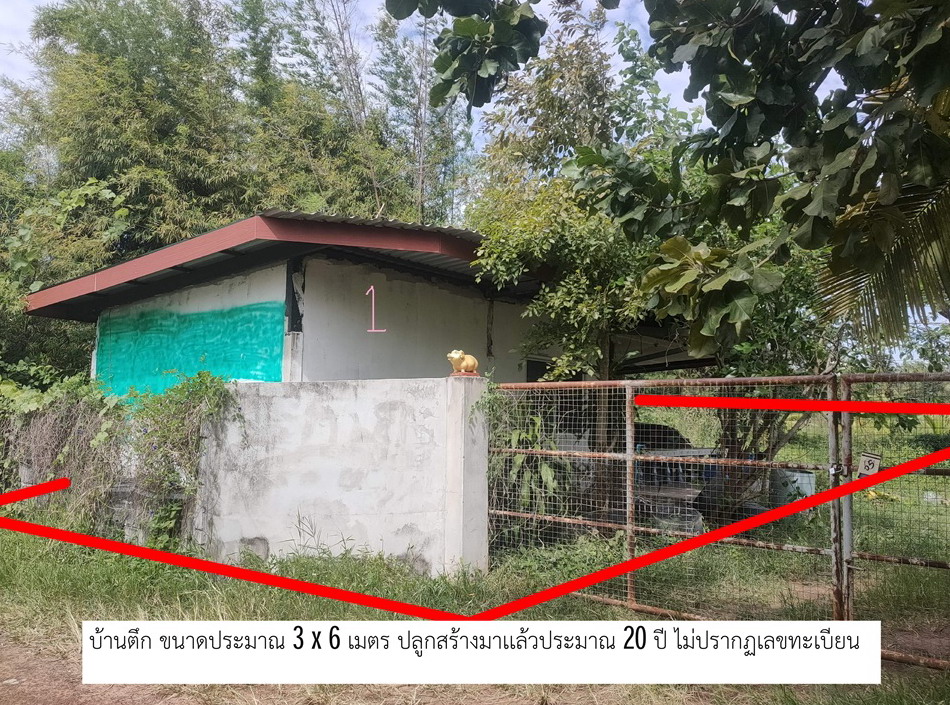 ขายทอดตลาด ที่ดินพร้อมสิ่งปลูกสร้าง ต.ดงมะยาง อ.ลืออำนาจ จ.อำนาจเจริญ