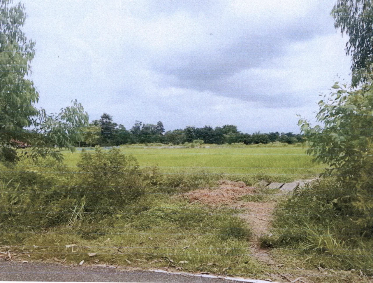 ขายทอดตลาด ที่ดินว่างเปล่า ต.ดอนเมย อ.เมืองอำนาจเจริญ จ.อำนาจเจริญ