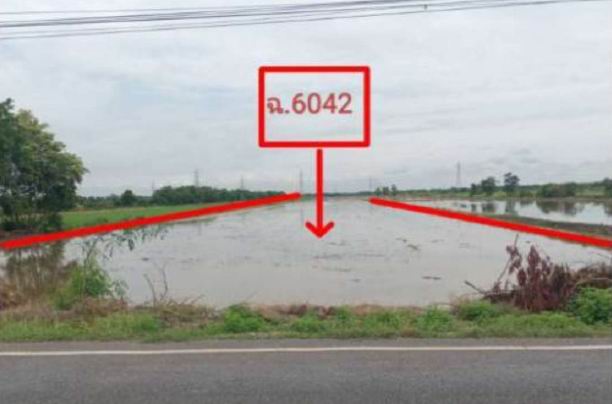 ขายทอดตลาด ที่ดินว่างเปล่า ต.หนองจรเข้ อ.หนองแค จ.สระบุรี