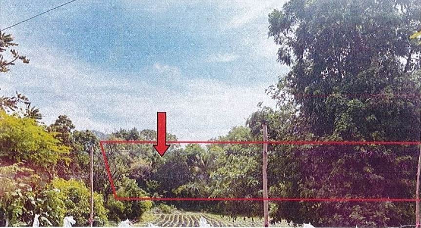 ขายทอดตลาด ที่ดินว่างเปล่า ต.เขาวง อ.พระพุทธบาท จ.สระบุรี